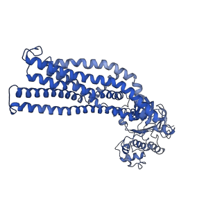 14668_7zds_D_v1-1
IF(apo/as isolated) conformation of CydDC mutant (E500Q.C) (Dataset-18)