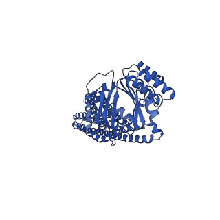 14670_7zdu_C_v1-1
Occ(apo/return) conformation of CydDC mutant (E500Q.C) in ATP(CydC)/ATP(CydD) bound state (Dataset-19)