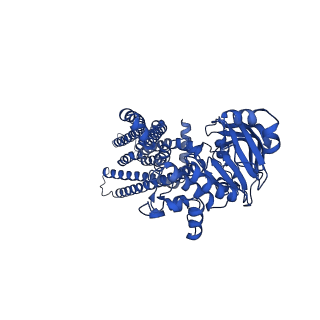 14670_7zdu_D_v1-1
Occ(apo/return) conformation of CydDC mutant (E500Q.C) in ATP(CydC)/ATP(CydD) bound state (Dataset-19)