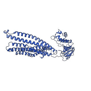 14671_7zdv_C_v1-1
IF(apo/as isolated) conformation of CydDC mutant (E500Q.C) in AMP-PNP(CydD) bound state (Dataset-20)