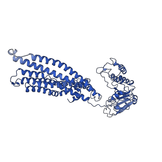 14675_7zdw_C_v1-1
IF(heme/confined) conformation of CydDC mutant (E500Q.C) in AMP-PNP(CydD) bound state (Dataset-22)