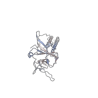 14678_7zdz_C_v1-1
Cryo-EM structure of the human inward-rectifier potassium 2.1 channel (Kir2.1)