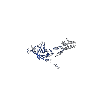 6917_5zdh_A_v1-1
CryoEM structure of ETEC Pilotin-Secretin AspS-GspD complex