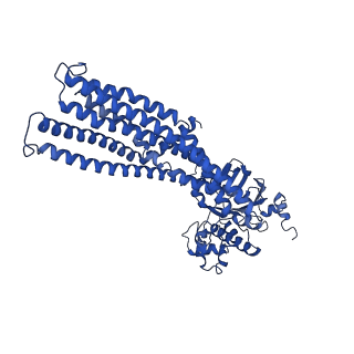 14684_7ze5_D_v1-1
Occ(apo/return) conformation of CydDC mutant (E500Q.C) in ATP(CydC)/AMP-PNP(CydD) bound state (Dataset-23)