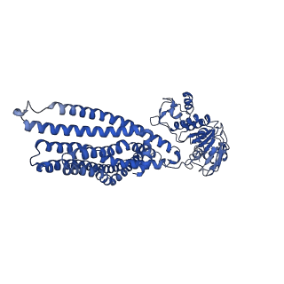 14689_7zec_C_v1-1
IF(heme/confined) conformation of CydDC in ATP(CydD) bound state (Dataset-15)