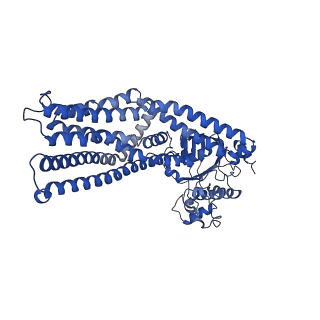 14689_7zec_D_v1-1
IF(heme/confined) conformation of CydDC in ATP(CydD) bound state (Dataset-15)