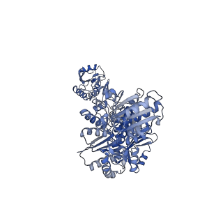 14690_7zel_B_v1-0
Human SLFN11 dimer apoenzyme