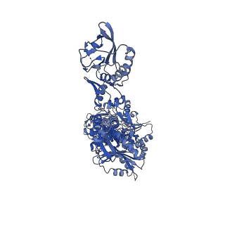14692_7zes_A_v1-0
Human SLFN11 dimer bound to ssDNA