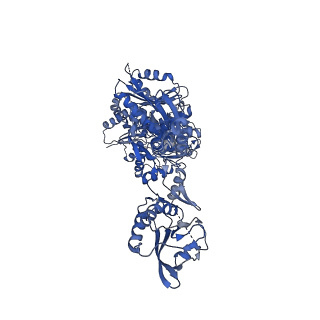 14692_7zes_B_v1-0
Human SLFN11 dimer bound to ssDNA
