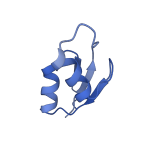 6920_5zeb_1_v1-0
M. Smegmatis P/P state 70S ribosome structure