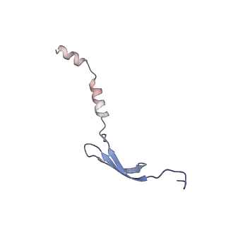 6920_5zeb_2_v1-0
M. Smegmatis P/P state 70S ribosome structure