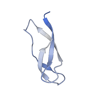 6920_5zeb_4_v1-0
M. Smegmatis P/P state 70S ribosome structure