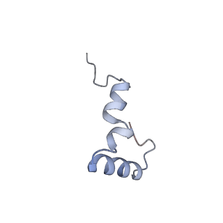 6920_5zeb_5_v1-0
M. Smegmatis P/P state 70S ribosome structure