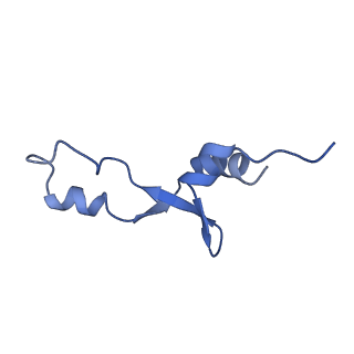 6920_5zeb_6_v1-0
M. Smegmatis P/P state 70S ribosome structure