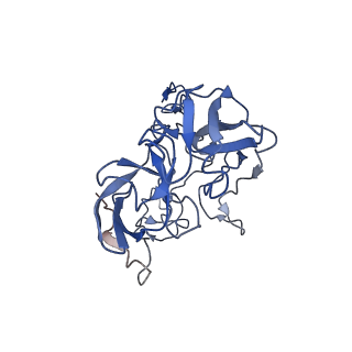 6920_5zeb_C_v1-0
M. Smegmatis P/P state 70S ribosome structure
