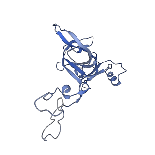 6920_5zeb_D_v1-0
M. Smegmatis P/P state 70S ribosome structure
