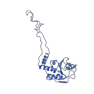 6920_5zeb_E_v1-0
M. Smegmatis P/P state 70S ribosome structure