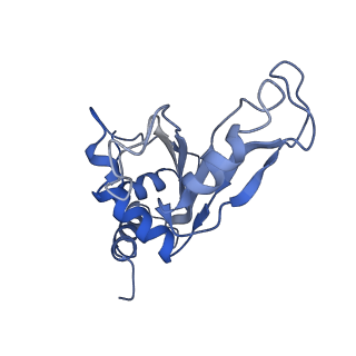 6920_5zeb_F_v1-0
M. Smegmatis P/P state 70S ribosome structure