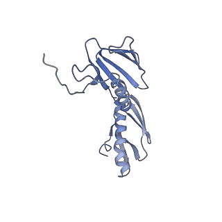 6920_5zeb_G_v1-0
M. Smegmatis P/P state 70S ribosome structure