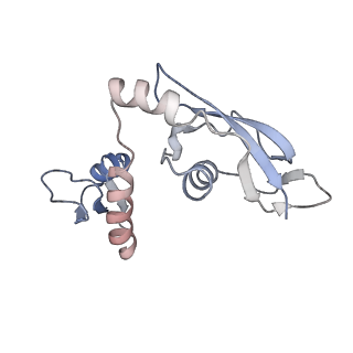 6920_5zeb_H_v1-0
M. Smegmatis P/P state 70S ribosome structure