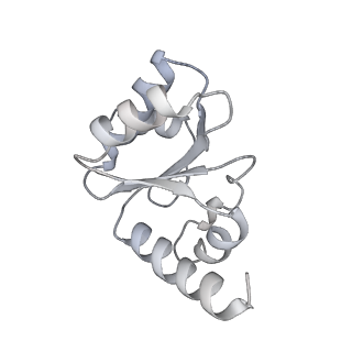 6920_5zeb_I_v1-0
M. Smegmatis P/P state 70S ribosome structure
