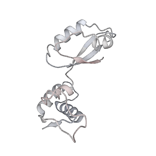6920_5zeb_J_v1-0
M. Smegmatis P/P state 70S ribosome structure