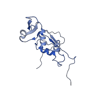 6920_5zeb_K_v1-0
M. Smegmatis P/P state 70S ribosome structure