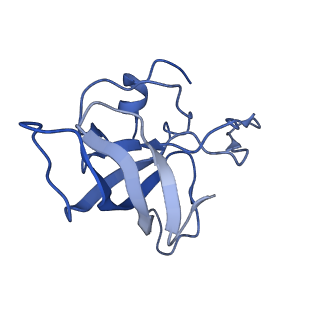 6920_5zeb_L_v1-0
M. Smegmatis P/P state 70S ribosome structure