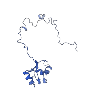 6920_5zeb_M_v1-0
M. Smegmatis P/P state 70S ribosome structure