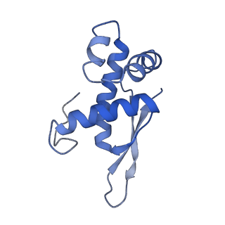 6920_5zeb_O_v1-0
M. Smegmatis P/P state 70S ribosome structure