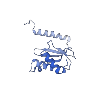 6920_5zeb_P_v1-0
M. Smegmatis P/P state 70S ribosome structure