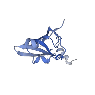 6920_5zeb_Q_v1-0
M. Smegmatis P/P state 70S ribosome structure