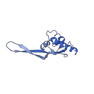 6920_5zeb_T_v1-0
M. Smegmatis P/P state 70S ribosome structure