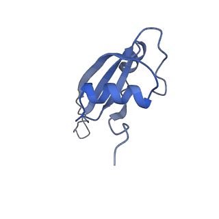 6920_5zeb_U_v1-0
M. Smegmatis P/P state 70S ribosome structure