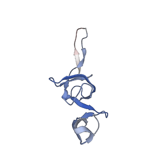 6920_5zeb_V_v1-0
M. Smegmatis P/P state 70S ribosome structure
