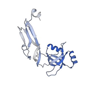 6920_5zeb_W_v1-0
M. Smegmatis P/P state 70S ribosome structure