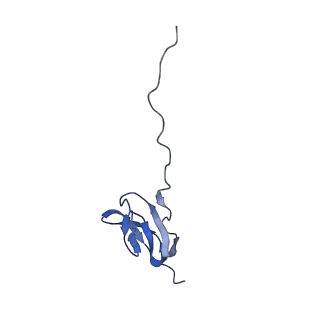 6920_5zeb_X_v1-0
M. Smegmatis P/P state 70S ribosome structure