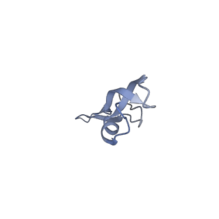 6920_5zeb_Y_v1-0
M. Smegmatis P/P state 70S ribosome structure