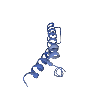 6920_5zeb_Z_v1-0
M. Smegmatis P/P state 70S ribosome structure