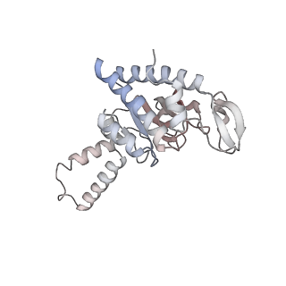 6920_5zeb_b_v1-0
M. Smegmatis P/P state 70S ribosome structure