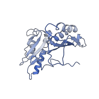 6920_5zeb_c_v1-0
M. Smegmatis P/P state 70S ribosome structure