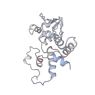 6920_5zeb_d_v1-0
M. Smegmatis P/P state 70S ribosome structure