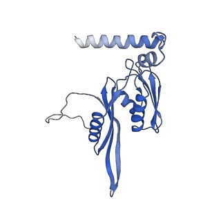 6920_5zeb_e_v1-0
M. Smegmatis P/P state 70S ribosome structure