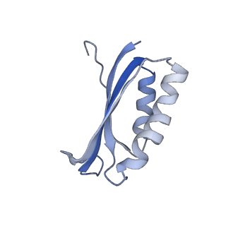 6920_5zeb_f_v1-0
M. Smegmatis P/P state 70S ribosome structure