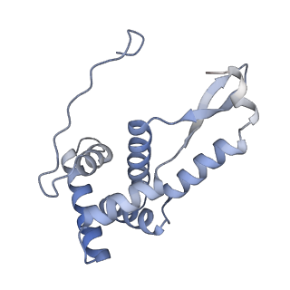 6920_5zeb_g_v1-0
M. Smegmatis P/P state 70S ribosome structure