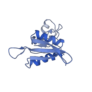 6920_5zeb_h_v1-0
M. Smegmatis P/P state 70S ribosome structure