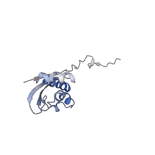6920_5zeb_i_v1-0
M. Smegmatis P/P state 70S ribosome structure