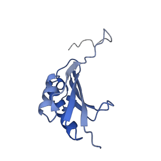 6920_5zeb_k_v1-0
M. Smegmatis P/P state 70S ribosome structure