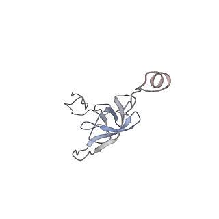 6920_5zeb_l_v1-0
M. Smegmatis P/P state 70S ribosome structure