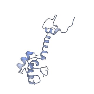 6920_5zeb_m_v1-0
M. Smegmatis P/P state 70S ribosome structure